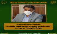 توزیع گوشت منجمد گوسفندی از فردا در استان یزد (فیلم)